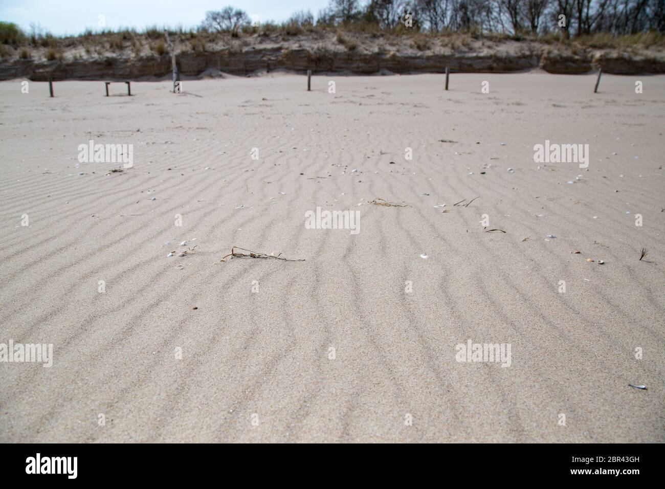 The beach of Zempin without footprints with fine, wind-generated grooves in the fine sandy beach. Stock Photo