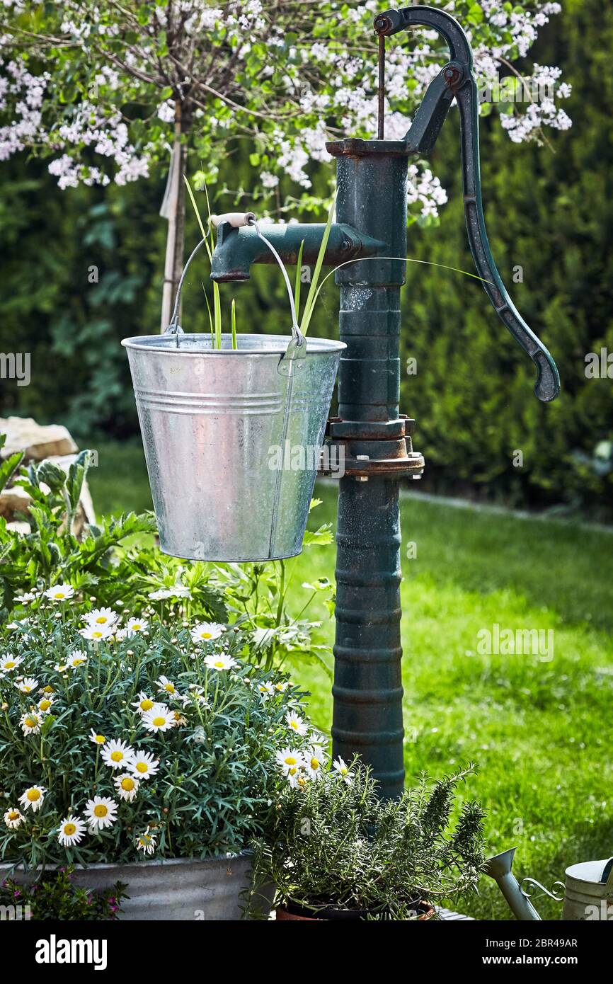 garden with galvanised pail hanging from a vintage pump amidst spring flowers and lush green lawn Stock Photo - Alamy