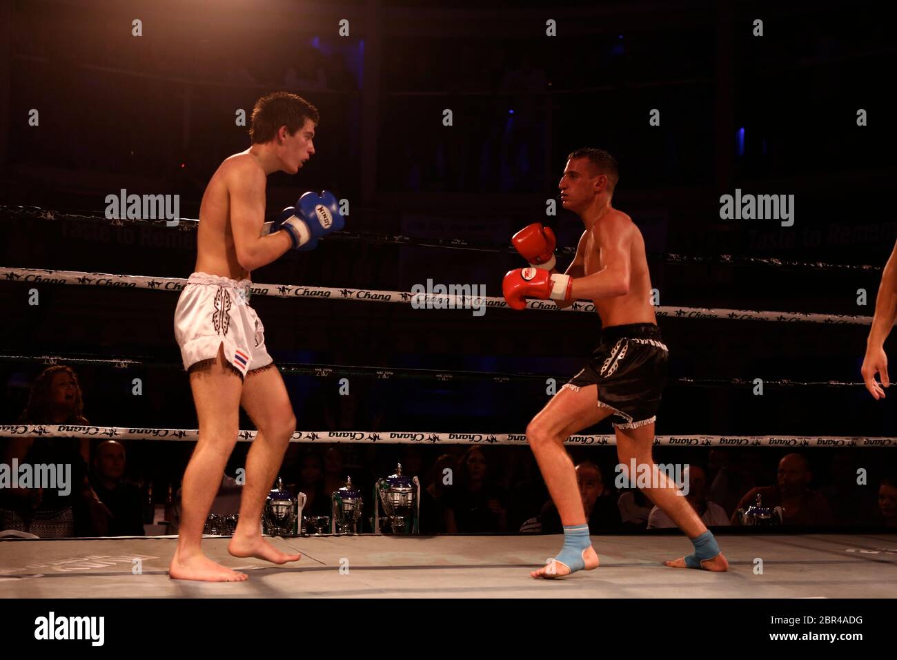 Muay Thai World Series Bournemouth Vs The World .Champion Muaythai