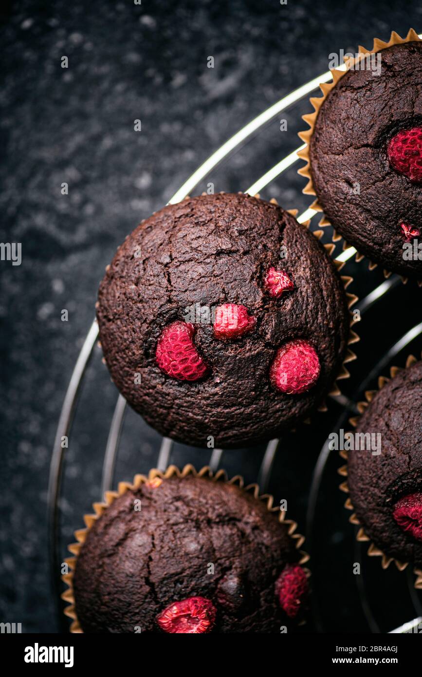 Chocolate Raspberry Muffins Stock Photo