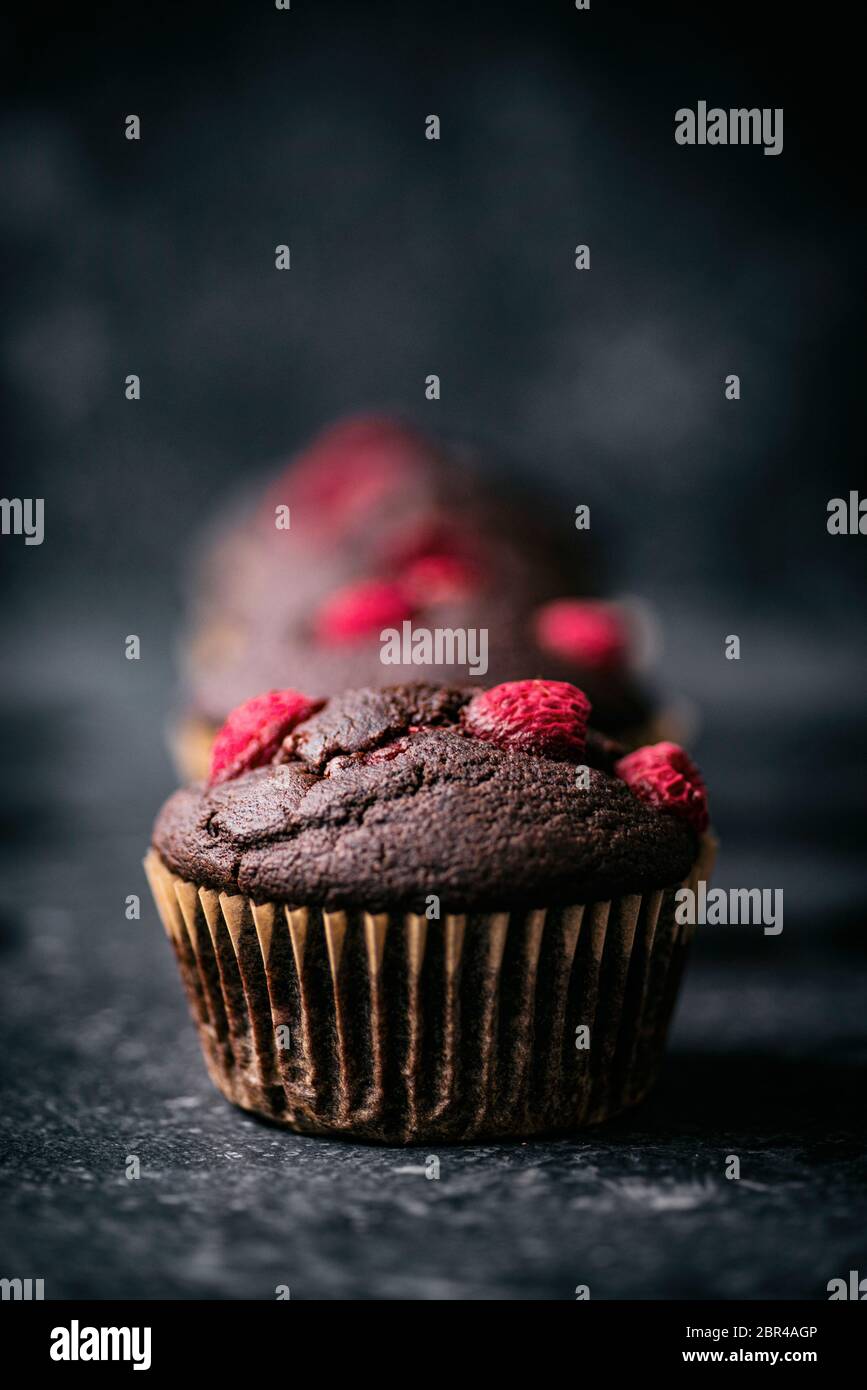 Chocolate Raspberry Muffins Stock Photo