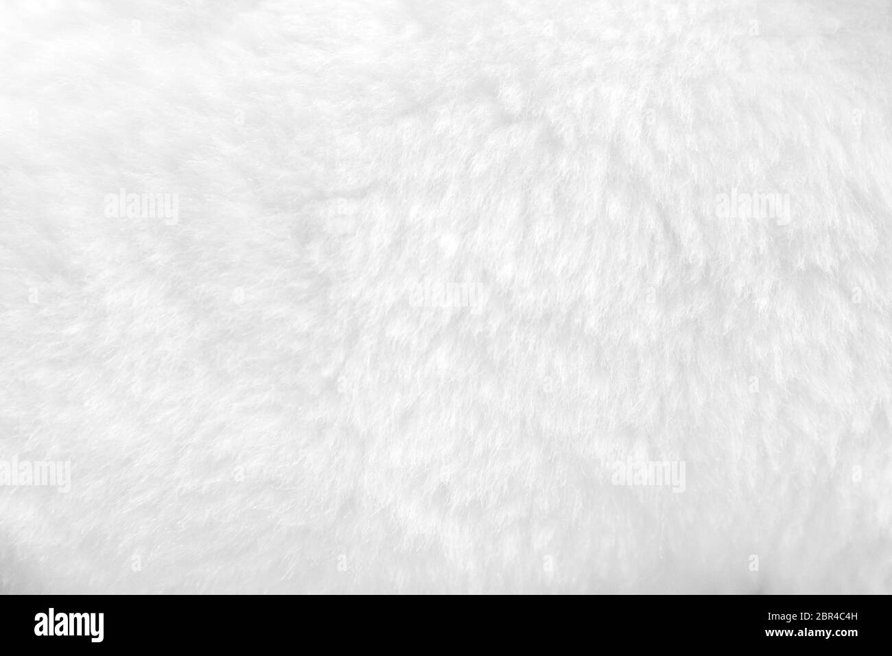 Clean white fur background close up view Stock Photo Alamy