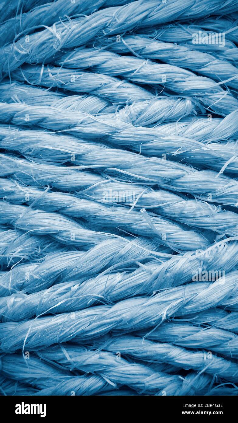 Curved thick string and a roll on white background with a soft shadow Stock  Photo - Alamy