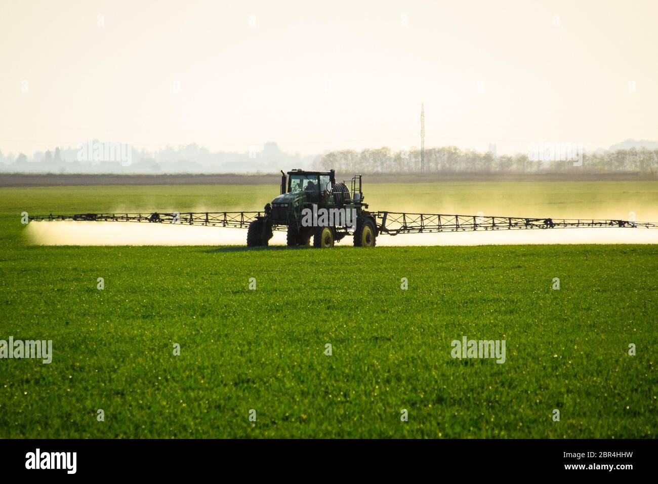 Tractor with the help of a sprayer sprays liquid fertilizers on young