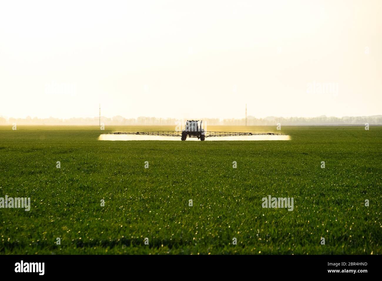 Tractor with the help of a sprayer sprays liquid fertilizers on young