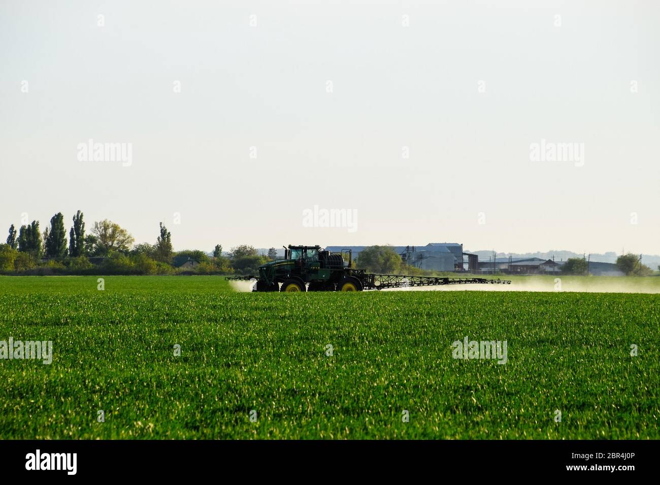 Tractor with the help of a sprayer sprays liquid fertilizers on young wheat in the field. The use of finely dispersed spray chemicals. Stock Photo
