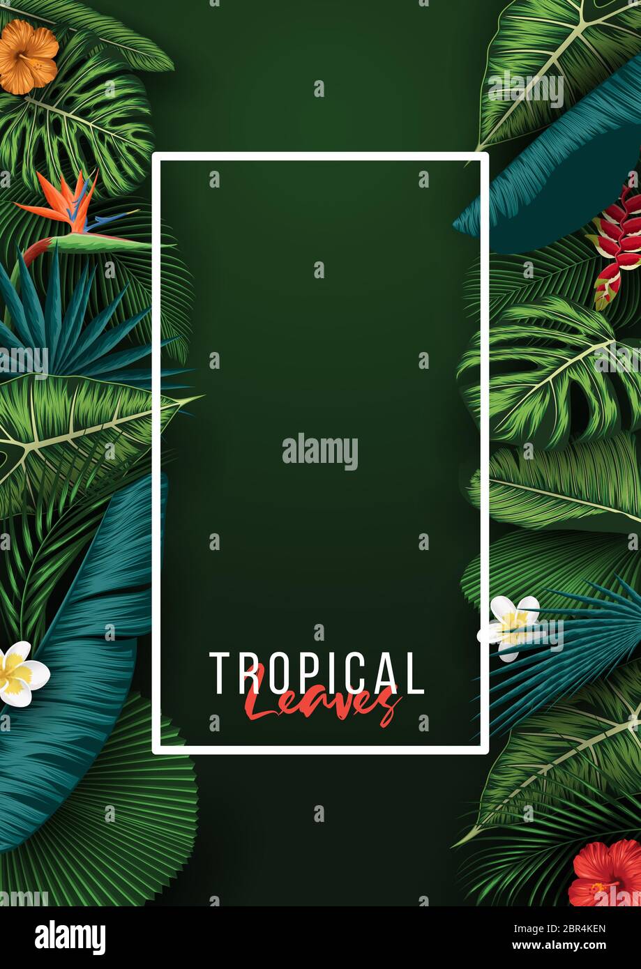 Tropical summer leaves background with jungle plants Stock Vector Image ...
