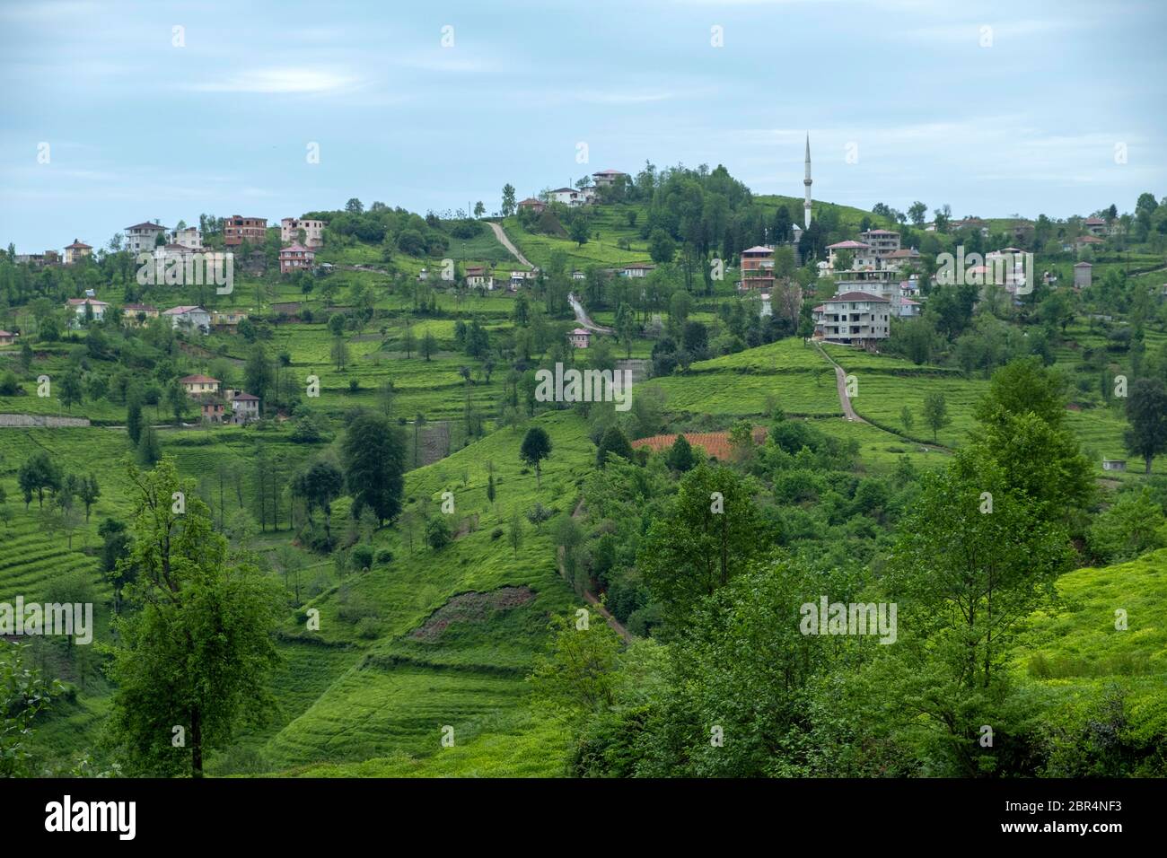 Villages between tea plantations in iyidere district of Rize province Stock Photo