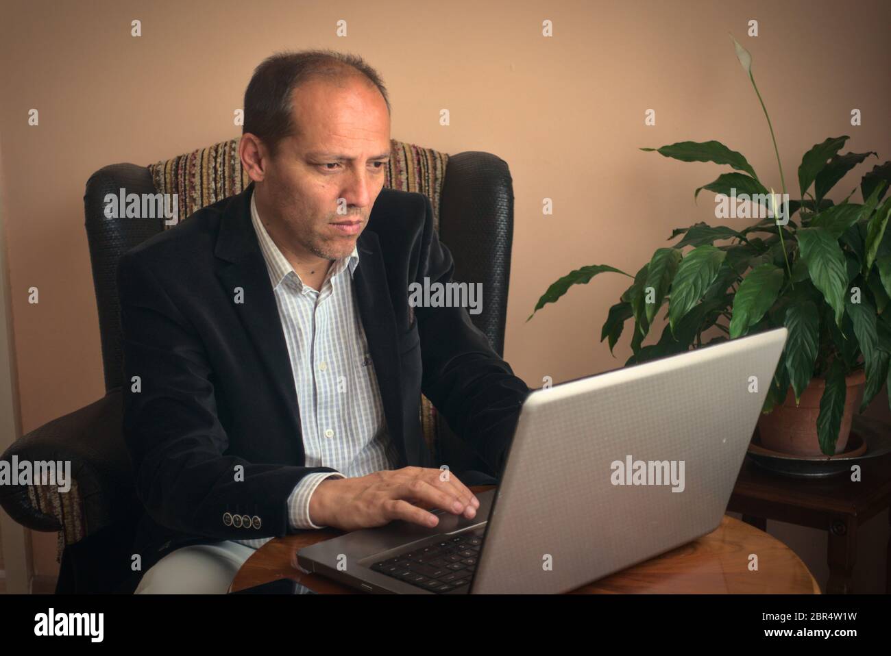 Smart clothed intelligent senior adult male teleworking from home using his laptop while sitting on his armchair with plant on background Stock Photo