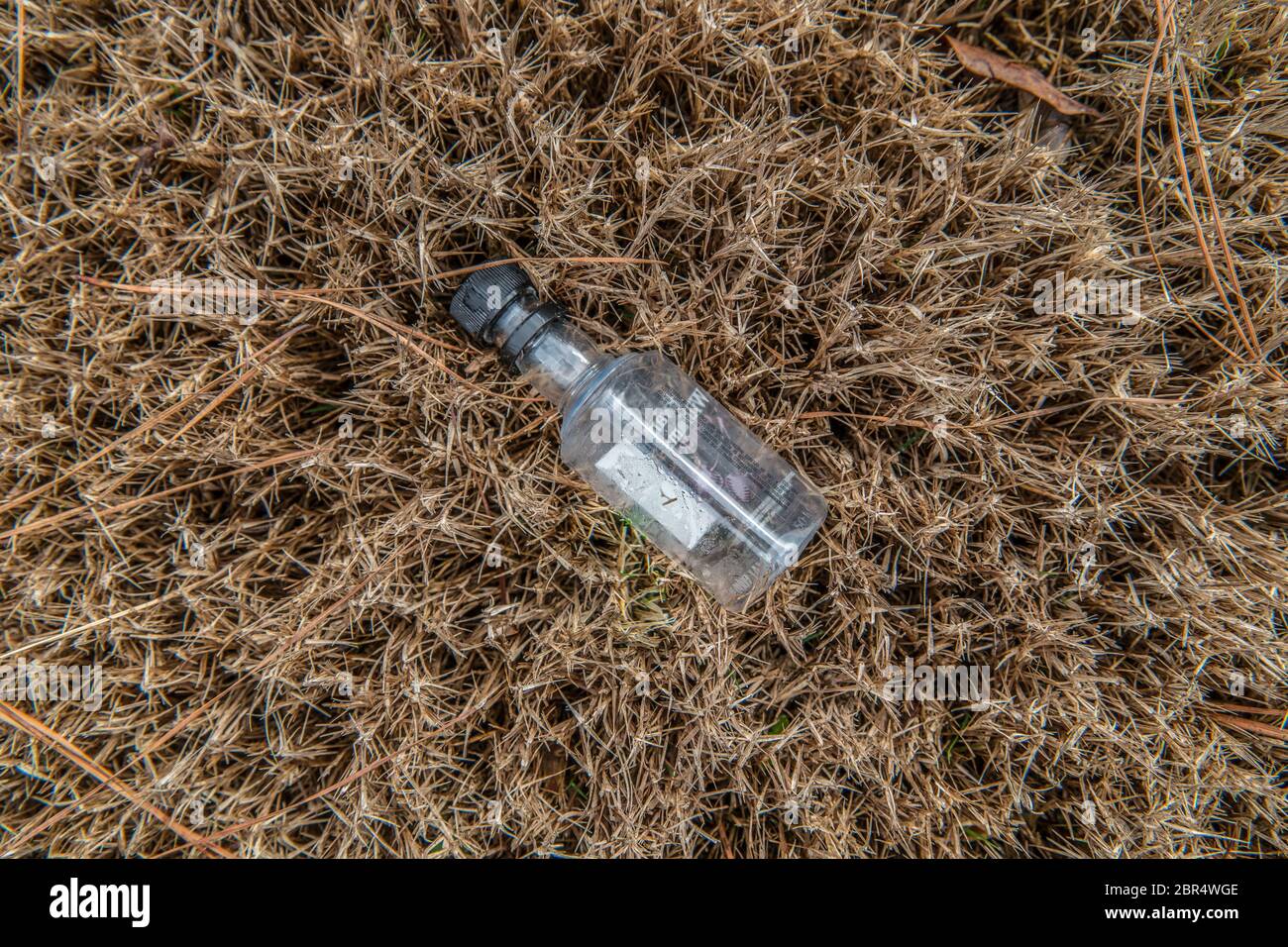 An empty discarded mini plastic liquor bottle laying on the grass alongside the road thrown to the ground as garbage polluting the environment Stock Photo