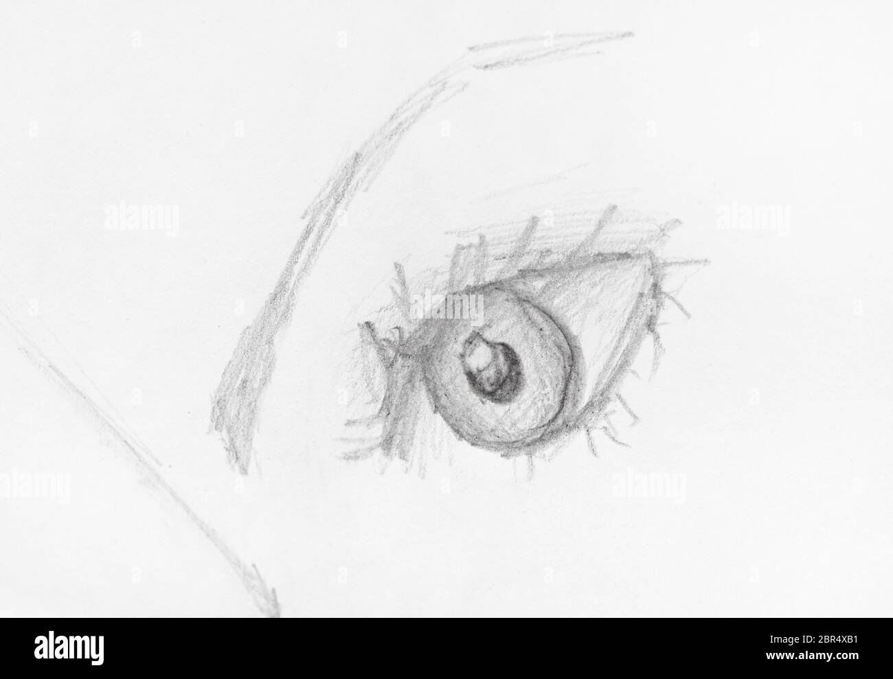 lead pencil sketches
