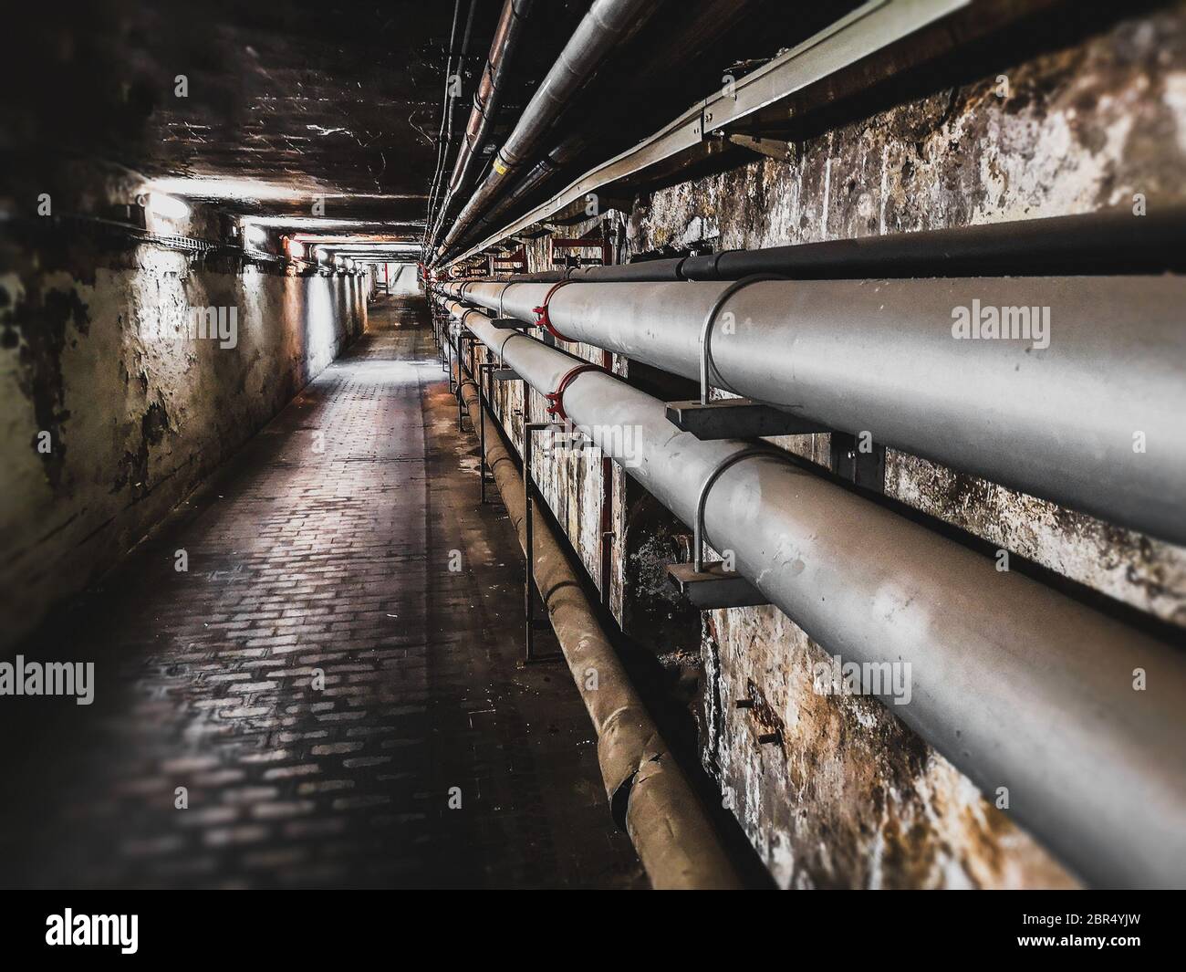 pipes on underground maintenance tunnel wall Stock Photo Alamy