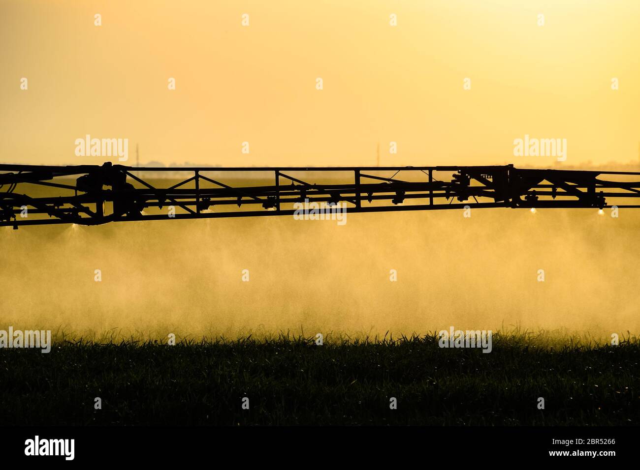 Jets of liquid fertilizer from the tractor sprayer. Tractor with the help of a sprayer sprays liquid fertilizers on young wheat in the field. The use Stock Photo