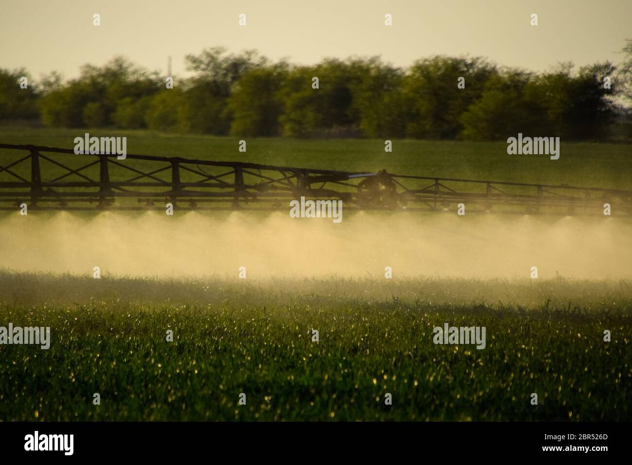 Jets of liquid fertilizer from the tractor sprayer. Tractor with the