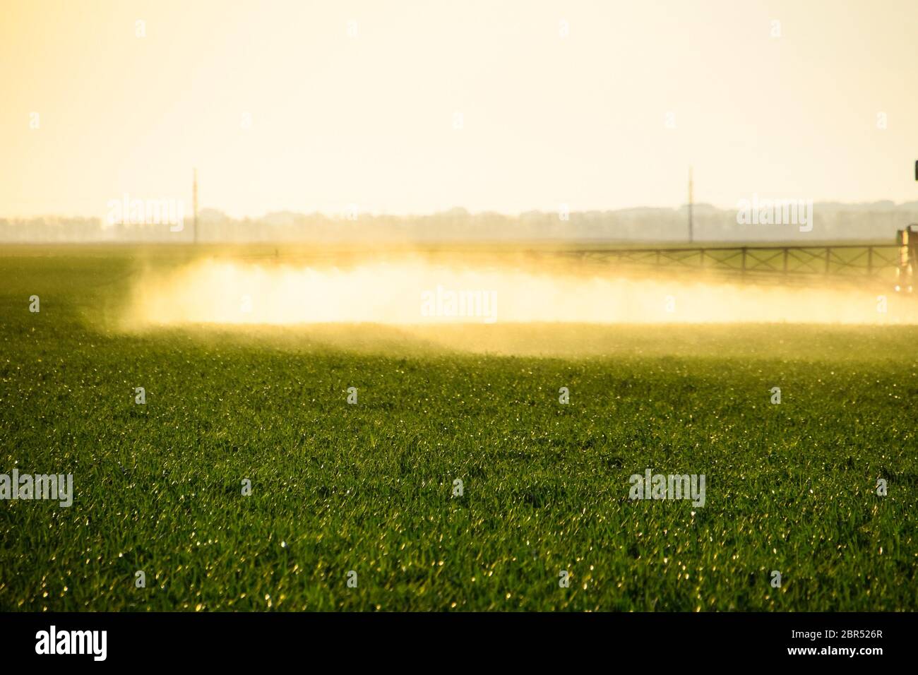 Jets of liquid fertilizer from the tractor sprayer. Tractor with the