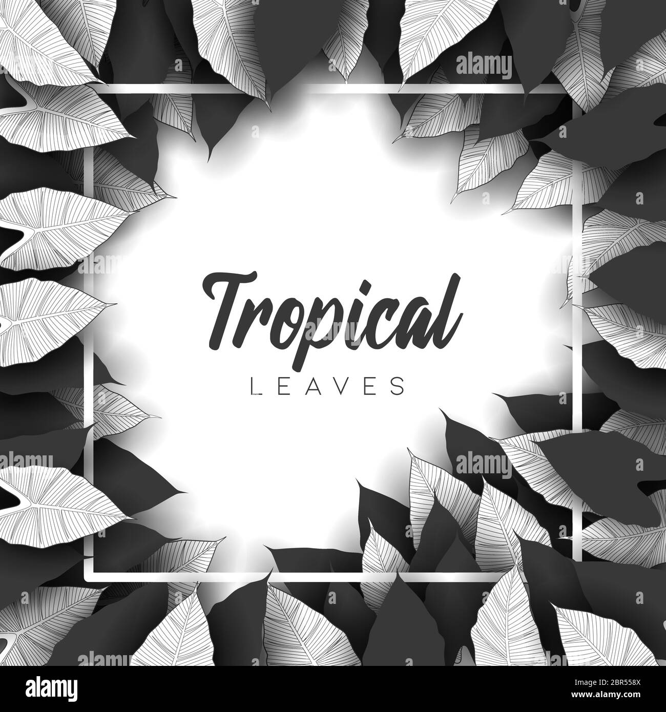 Tropical summer leaves background with jungle plants Stock Vector Image ...