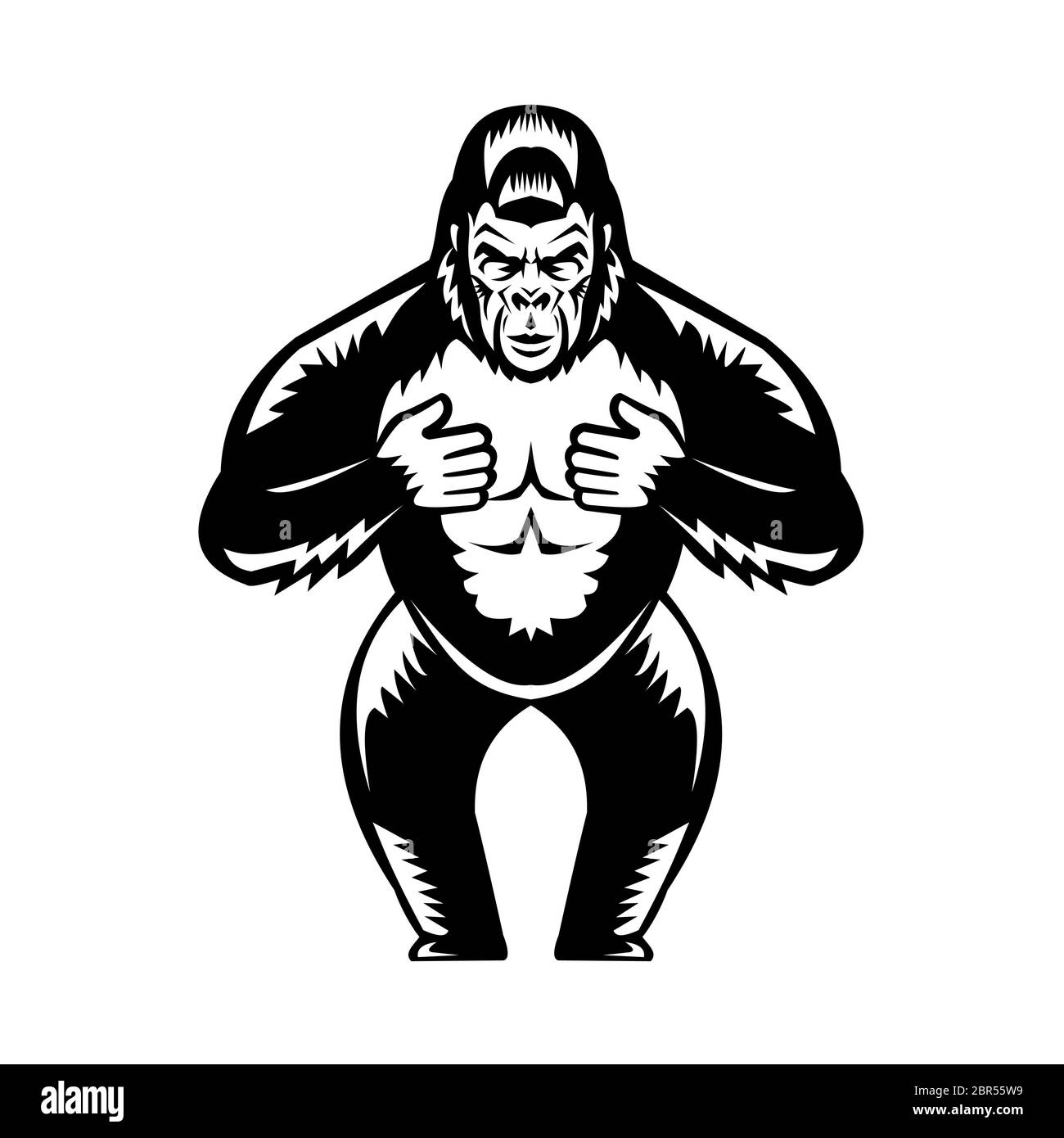 Retro woodcut style illustration of a silverback gorilla  thumping or beating it's chest viewed from front on isolated background done in black and wh Stock Photo