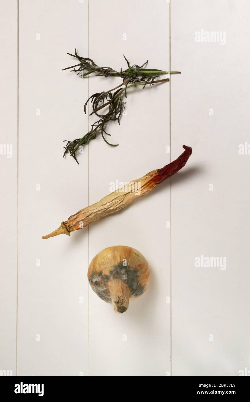 Rotten onions and red peppers, dried branches of rosemary. Food waste concept. Stock Photo