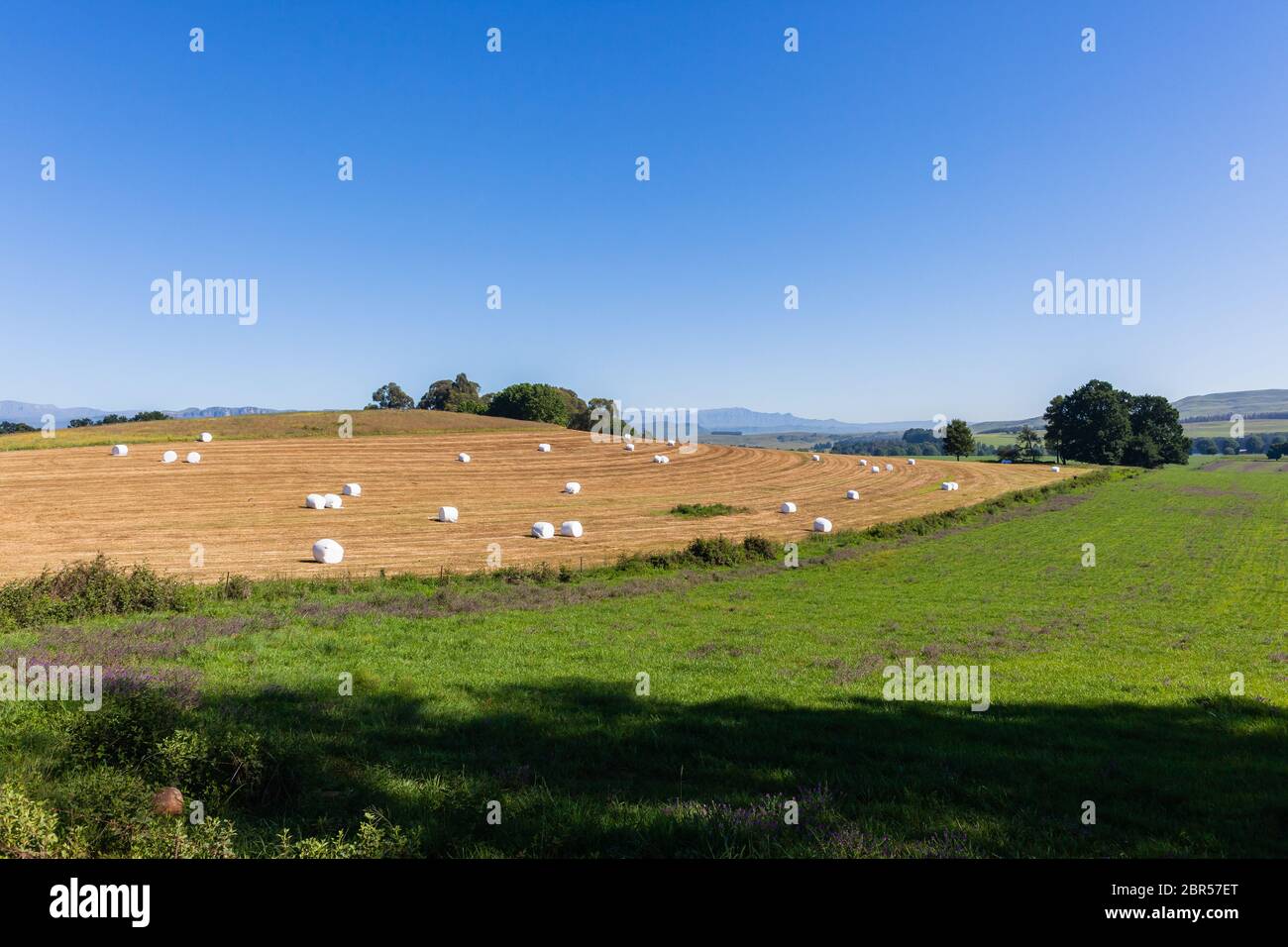 Farming cattle feed grass hay bales wrapped in plastic over fields on scenic mountain landscape Stock Photo