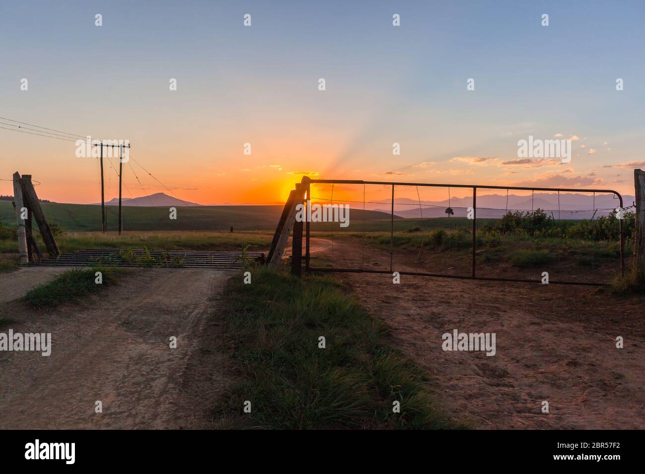 Farmlands gate animal crossing sunset summers day landscape Stock Photo