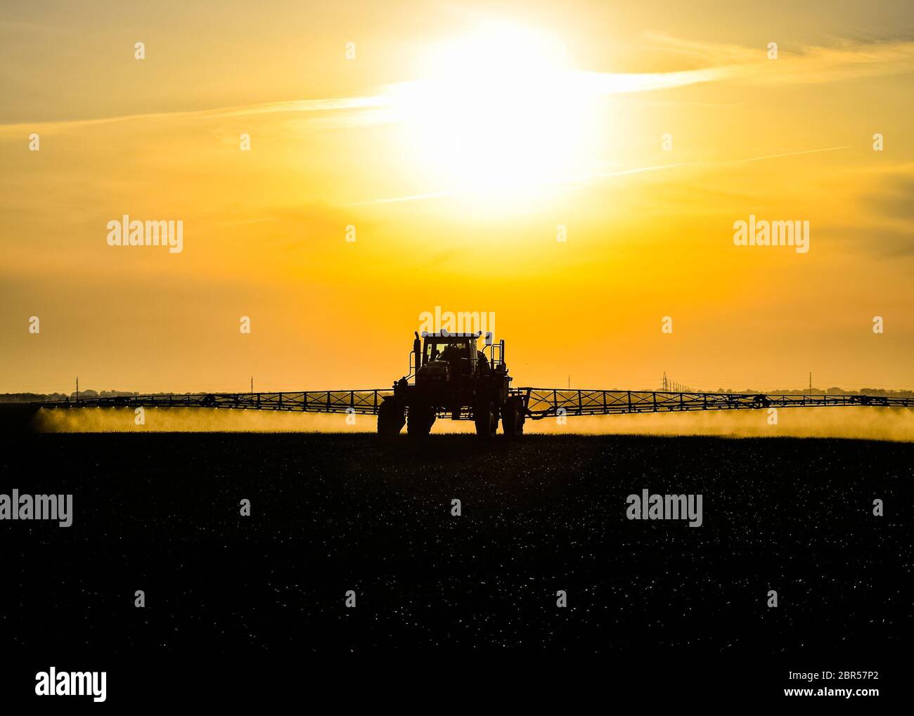 Tractor with the help of a sprayer sprays liquid fertilizers on young wheat in the field. The use of finely dispersed spray chemicals. Tractor on the Stock Photo