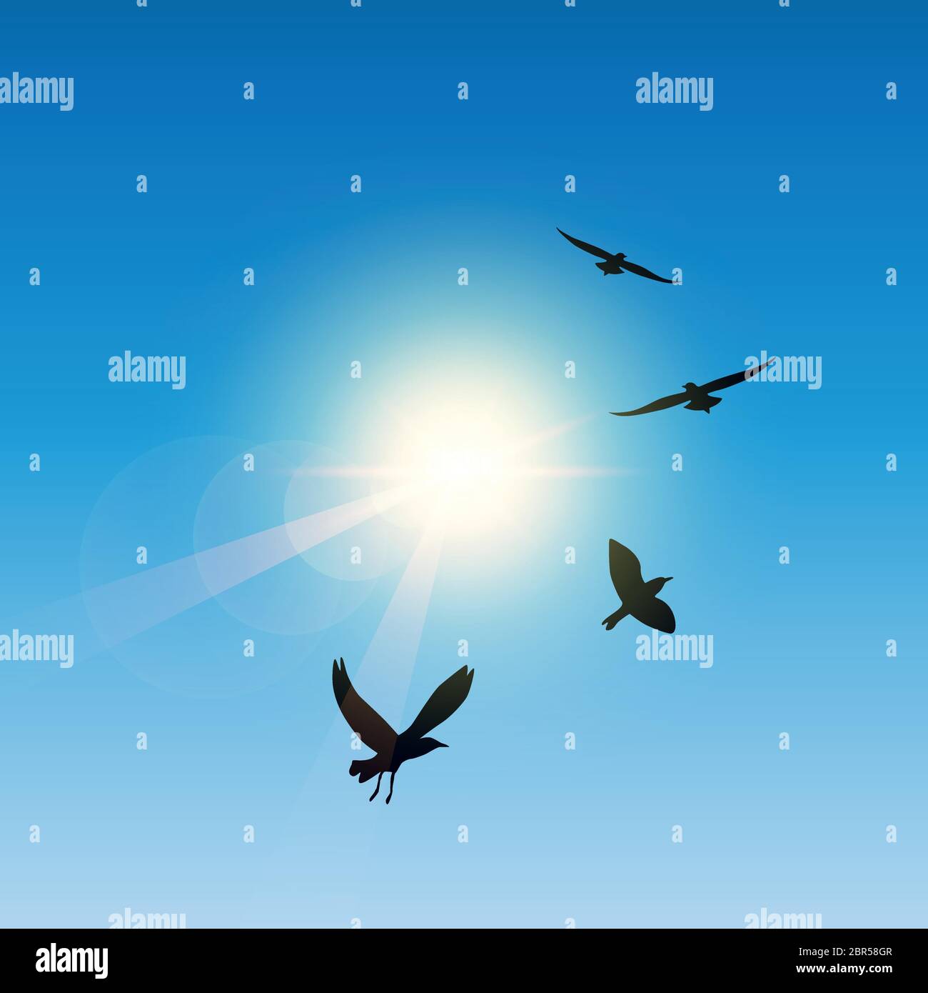 flying birds in sunny sky vector illustration EPS10 Stock Vector