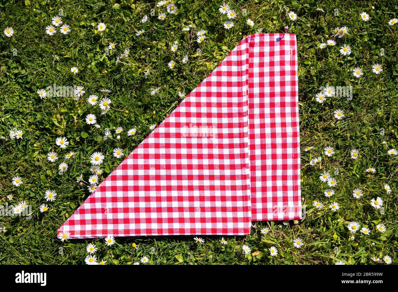 Picnic background. Red checkered picnic cloth on a daisy meadow