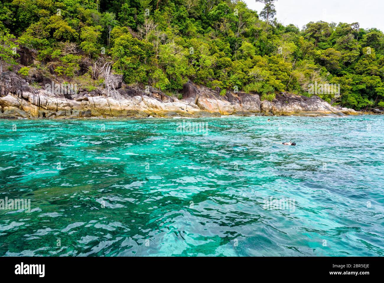 Beautiful tropical nature landscap, clear and clean turquoise sea and the tourist are snorkeling is a shallow dive site at Ko Ka Ta near Koh Lipe isla Stock Photo