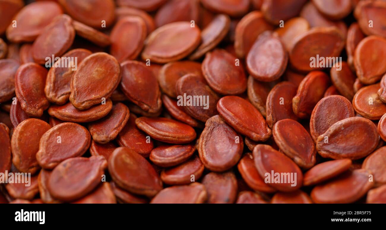 chinese new year seed