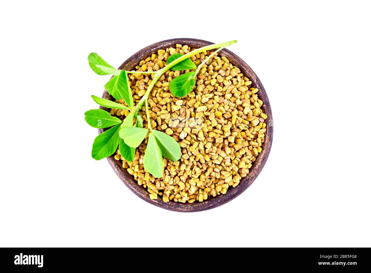 Fenugreek seeds in a clay bowl with green leaves isolated on white background from above Stock Photo
