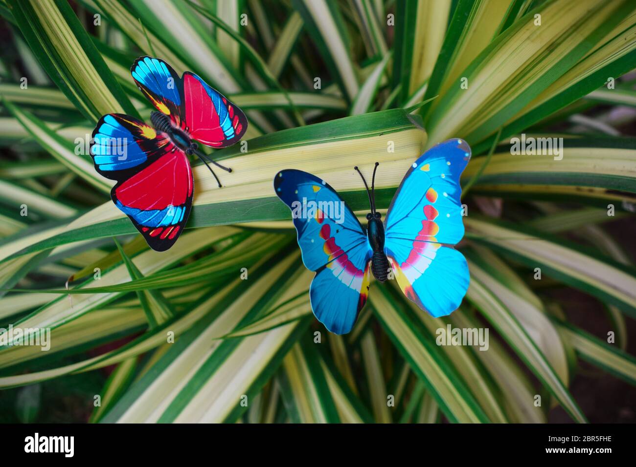 Cute pair of blue and red diy butterfly, Artificial fake plastic