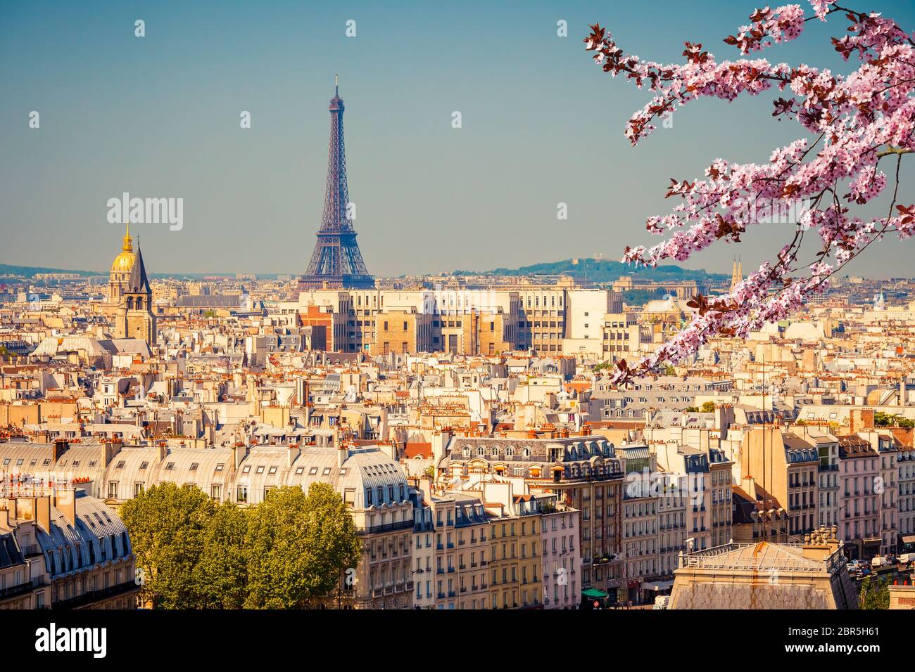 View on Eiffel Tower in Paris at spring, France Stock Photo