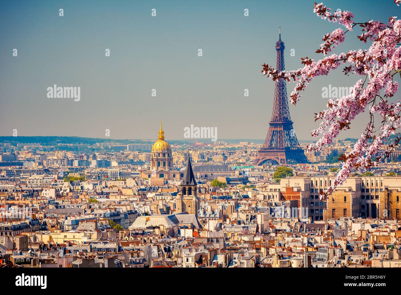 View on Eiffel Tower in Paris at spring, France Stock Photo