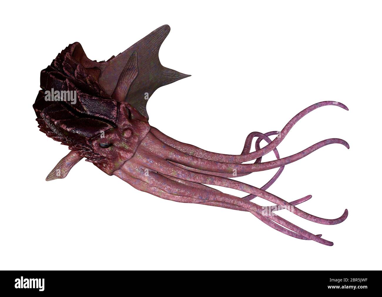 3D rendering of an octopus isolated on white background Stock Photo - Alamy