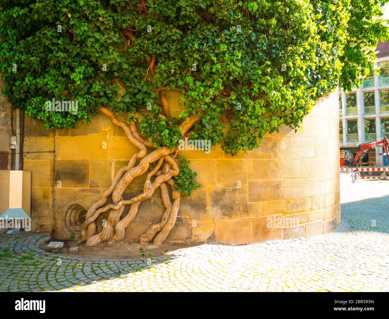 Old Castle Stuttgart, Germany Stock Photo - Alamy