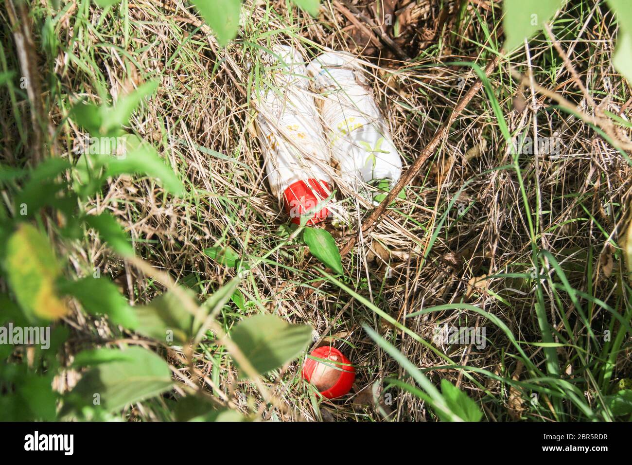 Jinsiy aloqa tizza bogimlari uchun yaxshi Eski buvim porno