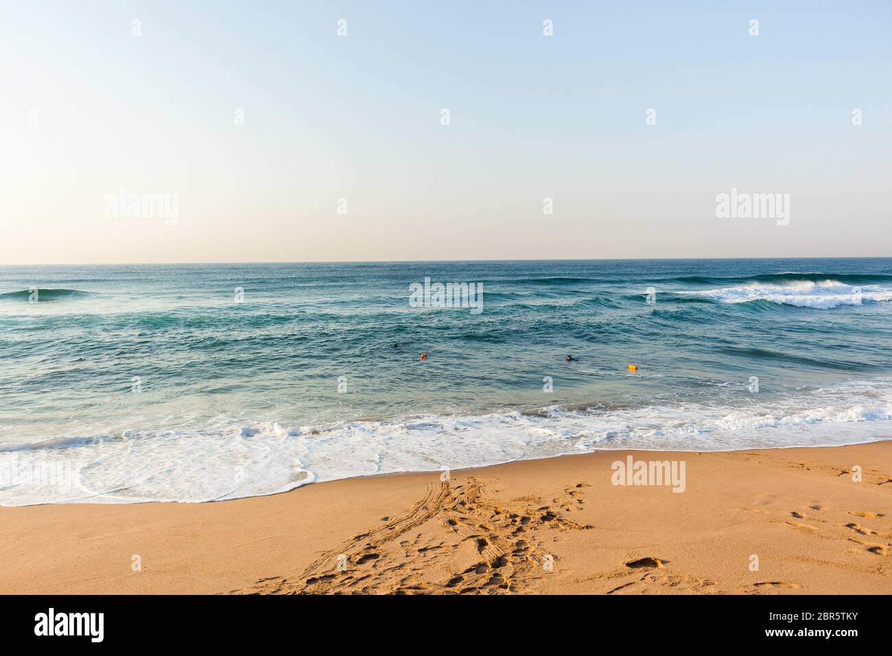 Spear+fishing hi-res stock photography and images - Page 2 - Alamy