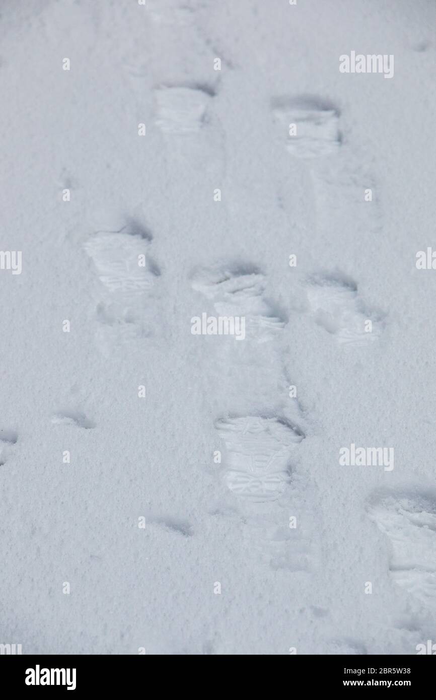 Human traces snow landscape hi-res stock photography and images - Alamy