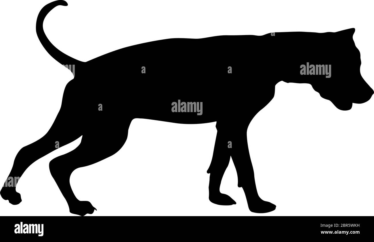 Dunker Dog Black Silhouette On White Background Stock Vector Image Art Alamy