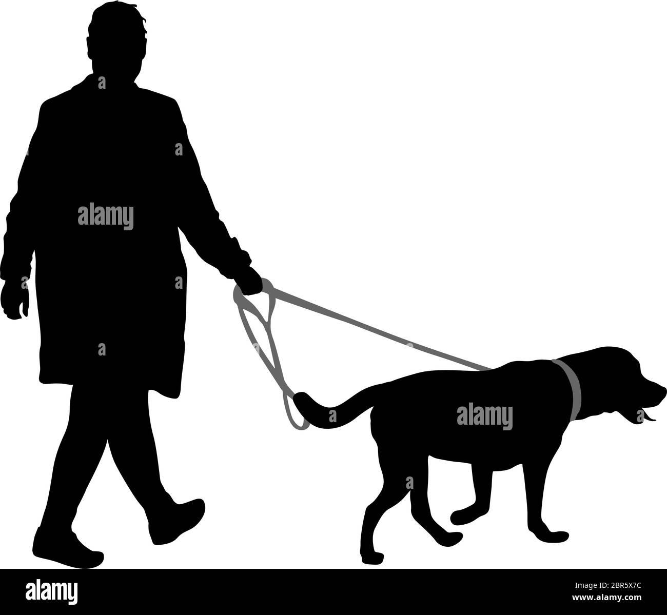 Silhouette of woman and dog on a white background Stock Vector Image ...