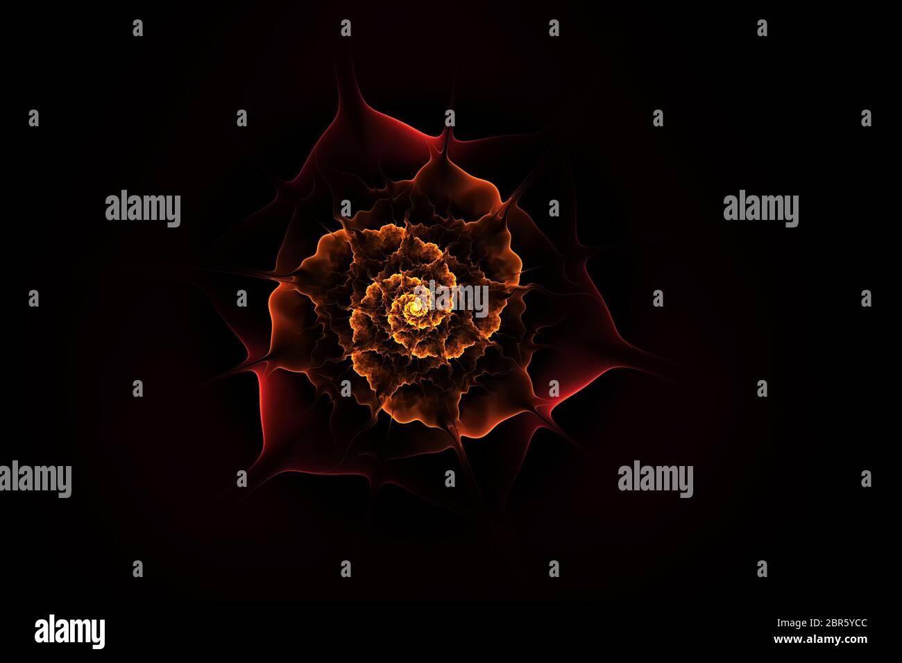 Abstract fractal flower computer generated image, for design and background. Stock Photo