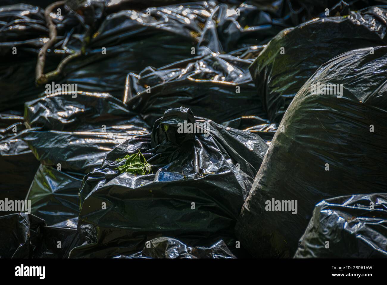 https://c8.alamy.com/comp/2BR61AW/a-large-pile-of-black-trash-bags-filled-with-household-waste-in-a-city-street-close-up-bags-with-garbage-2BR61AW.jpg