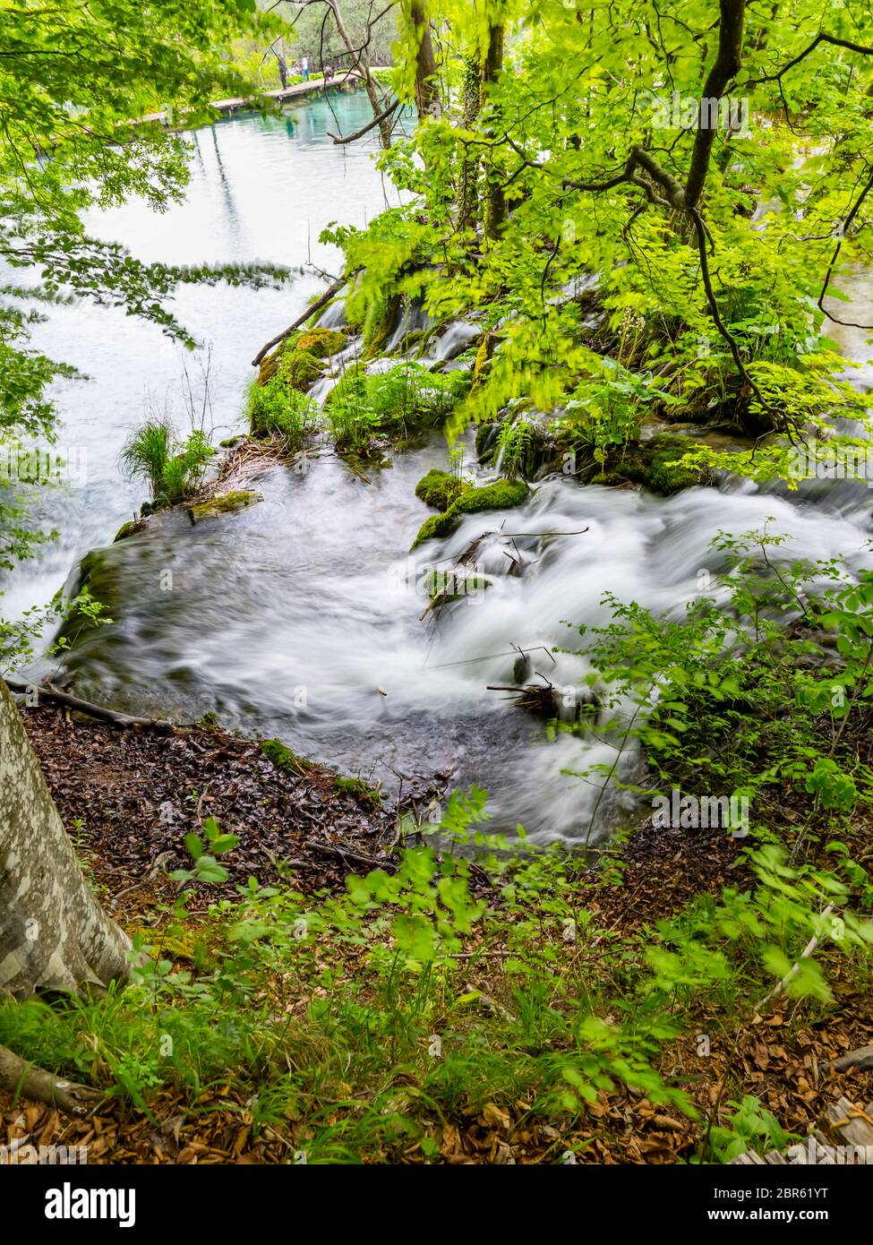 Plitvice lakes intensive vivid Green forest in Spring season in Croatia Europe empty cascading waterfall river flow riverflow long exposure Stock Photo