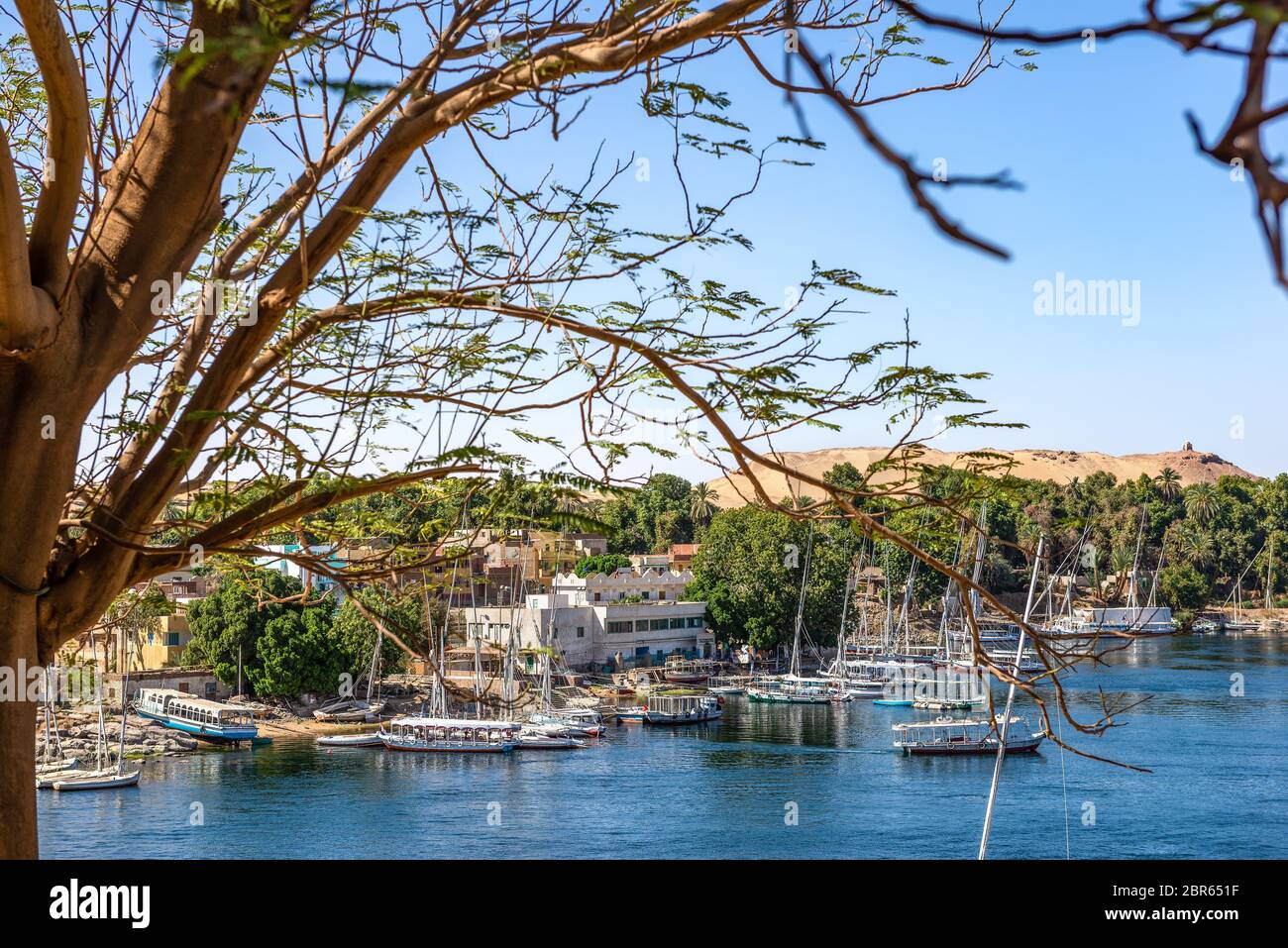View of the boats on river Nile in Aswan, Egypt Stock Photo - Alamy