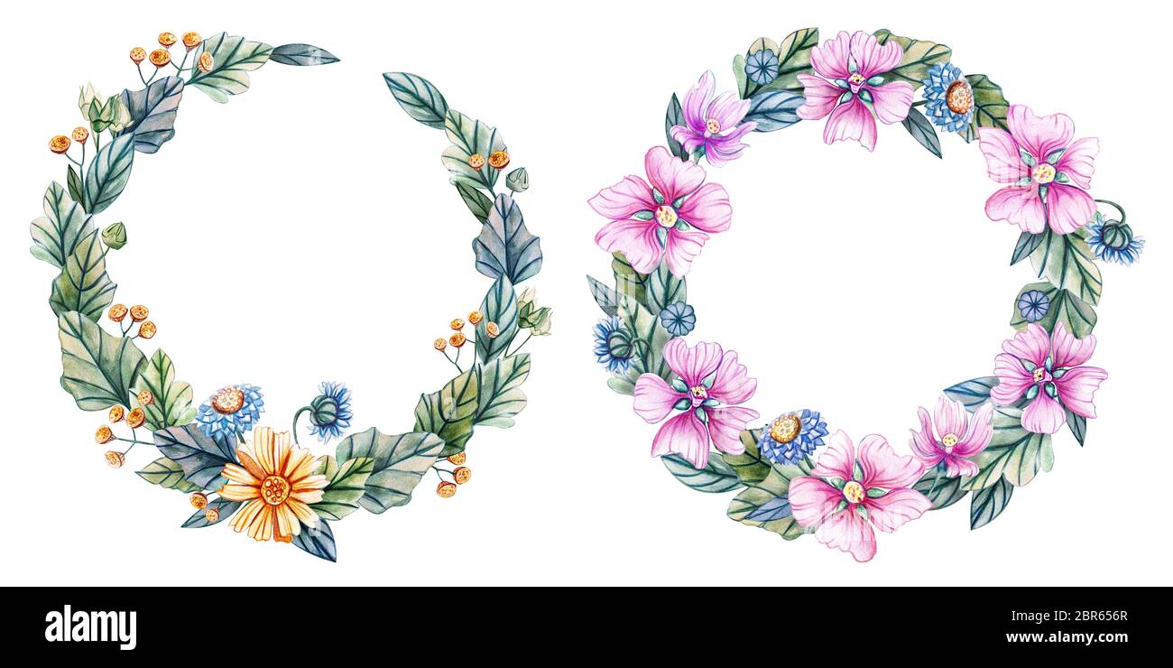 Wreaths of watercolor wildflowers. Festive illustration with daisies ...