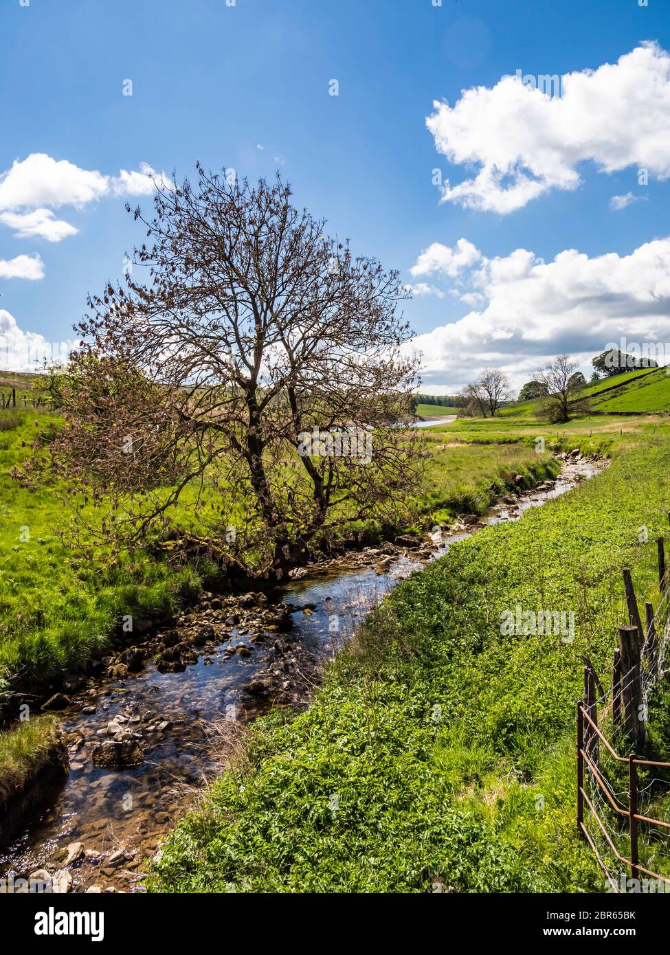 Hetton Common Beck Feeds Into The Winterburn Reservoir Stock Photo - Alamy