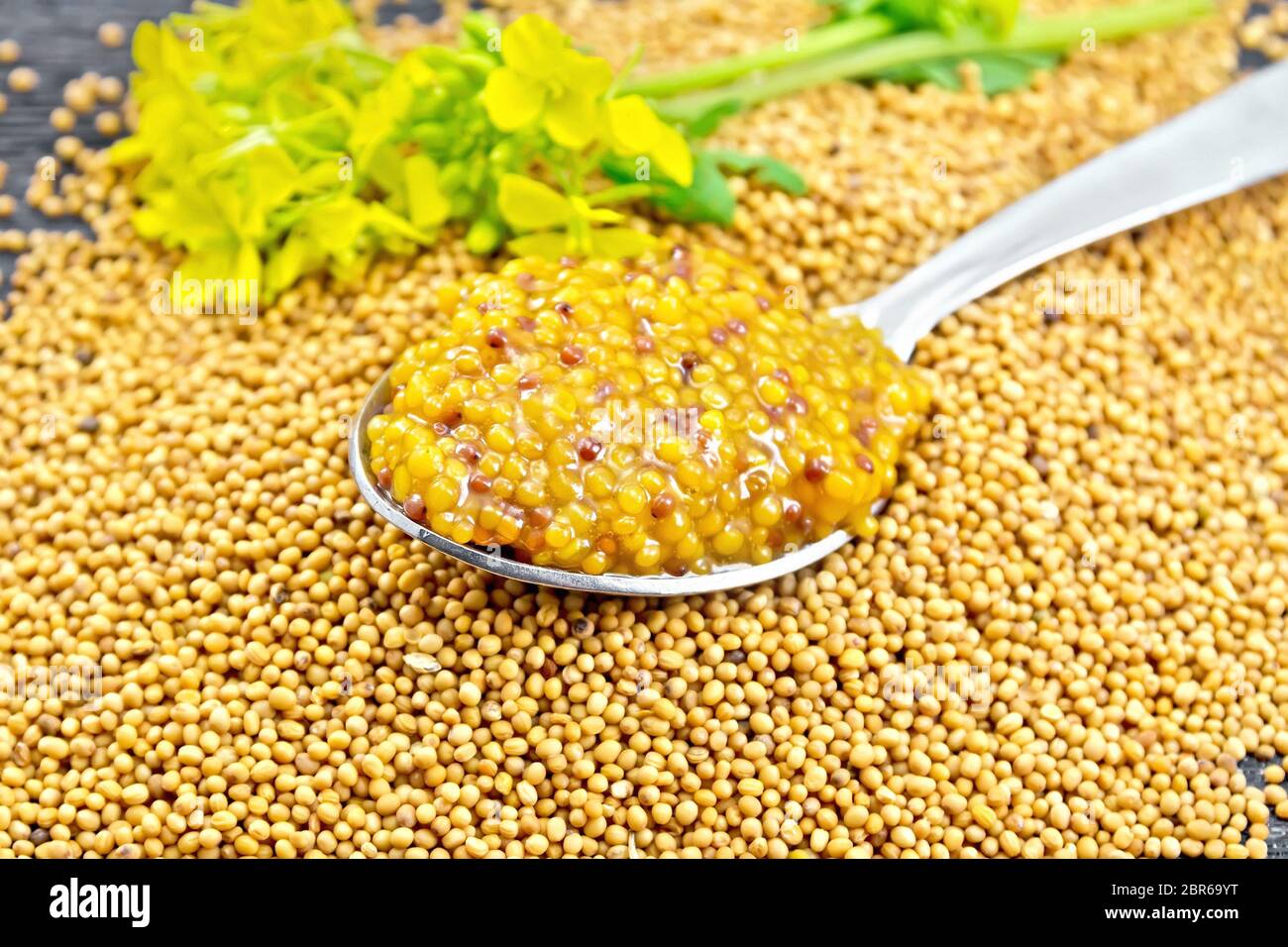 Mustard Dijon sauce in a metal spoon and yellow mustard flower on seeds