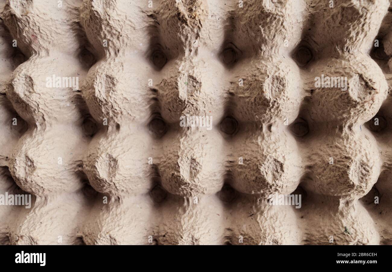 Top view surface sheet of empty cardboard egg crate or eggs carton box