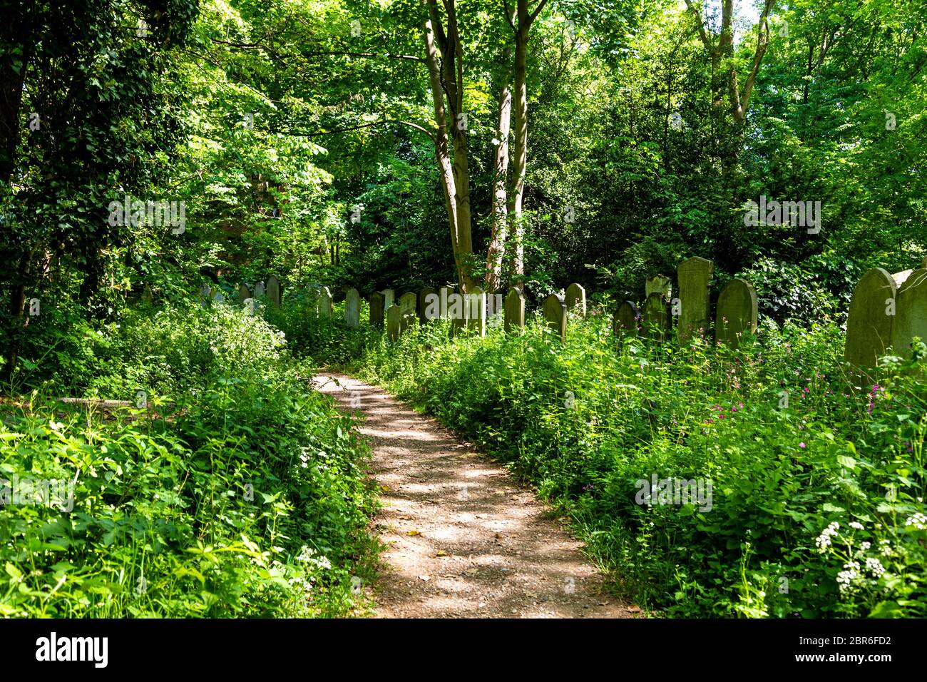 Path and gravestones at historic Tower Hamlets Cemetery Park and nature