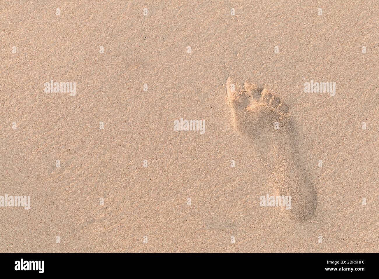 Human footprint in wet sand on the beach Stock Photo